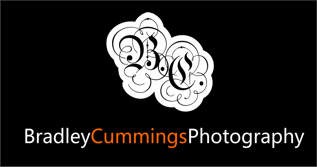 Logo Design by LUSH GRAPHIX for this project | Design #175008