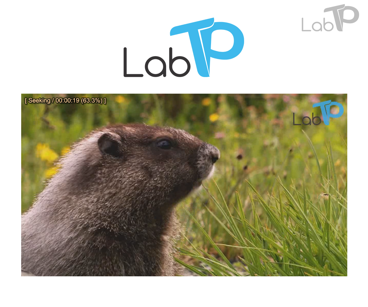 Logo Design by Waroqun for LabTP | Design #4203709