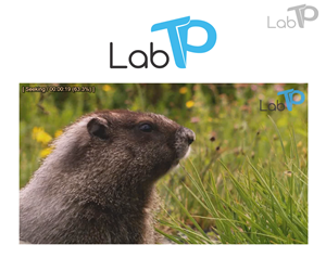 Logo Design by Waroqun for LabTP | Design: #4203709