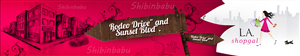 Banner Ad Design by Shibin babu