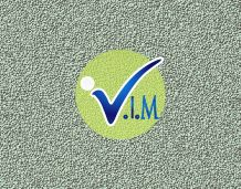 Logo Design by Imagination