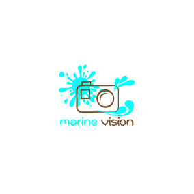 Logo Design by Buly for this project | Design #4246321