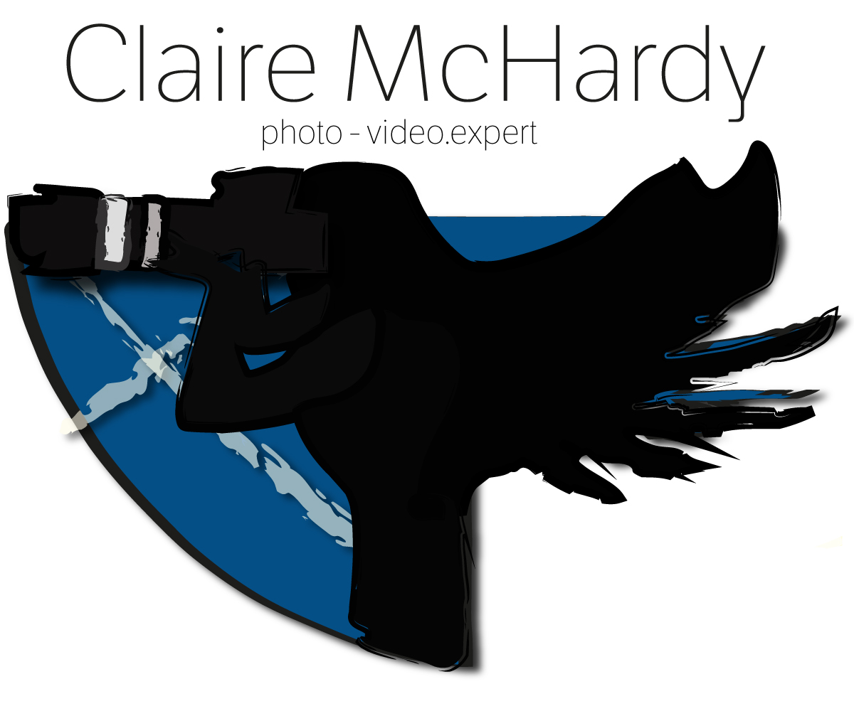 Logo Design by SilverSlit for this project | Design #4231870