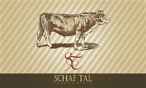 Business Card Design by  Muller Villegas