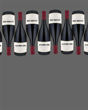 Book Cover Design by Jlev for this project | Design: #1206180