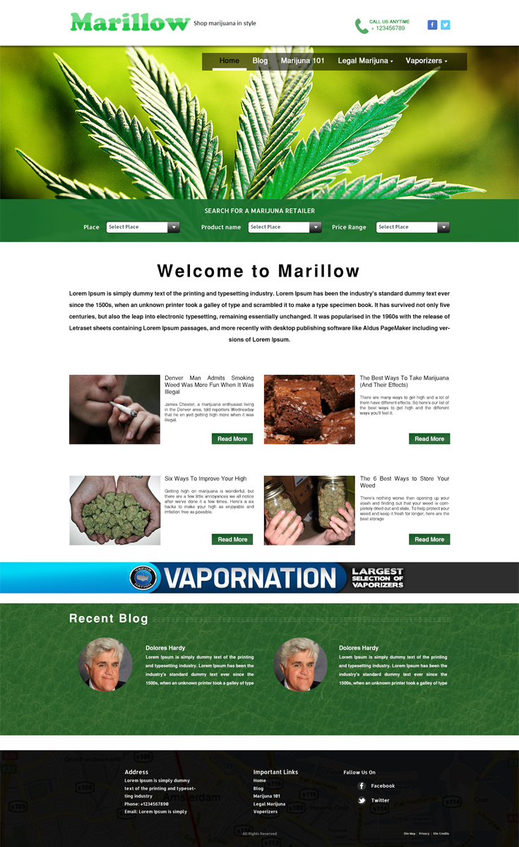 Diseño Web por Wings on web para este proyecto | Diseño #4279537