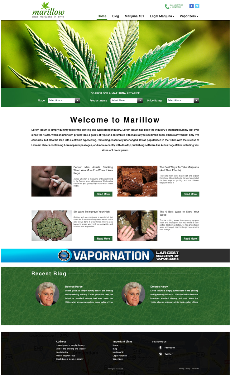 Diseño Web por Wings on web para este proyecto | Diseño #4279558