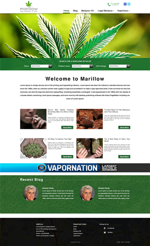 Web Design par Wings on web pour ce projet | Design : #4279561