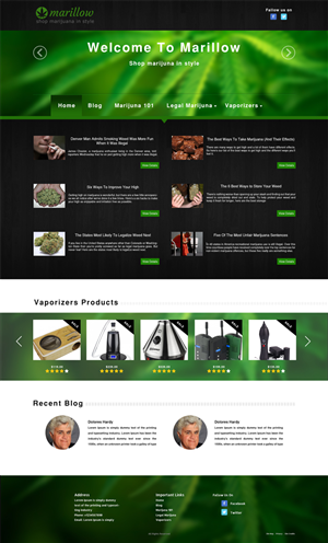 Web Design par Wings on web pour ce projet | Design : #4279570