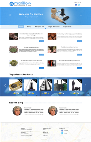 Web Design par Wings on web pour ce projet | Design : #4306369