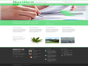 Web Design par GlobalTech pour ce projet | Design : #4308188