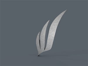 Graphic Design by Bogdan Stanagui