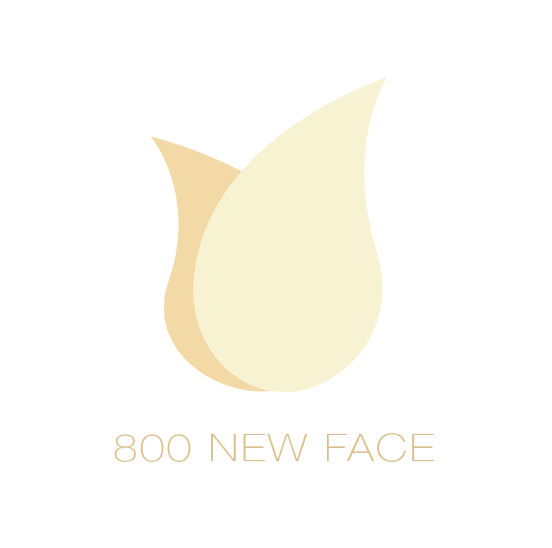 Logo Design by Design Possibilities for newface.com | Design #1284847