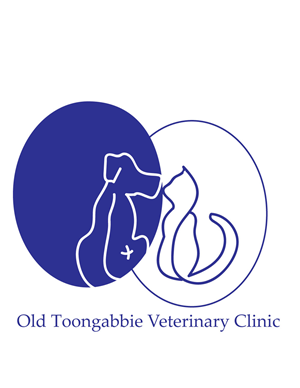 Logo Design by Tania Ivonne