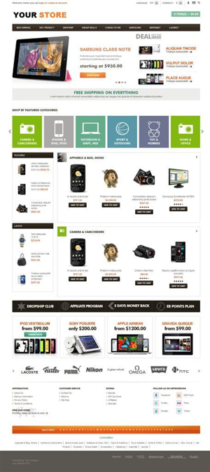 Web Design by Server expert