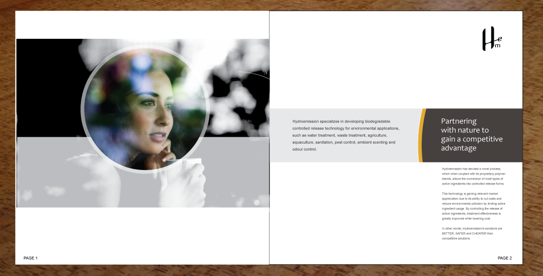 Brochure Design by designgreen for Hydroemission Corporation Pte Ltd | Design #1193408