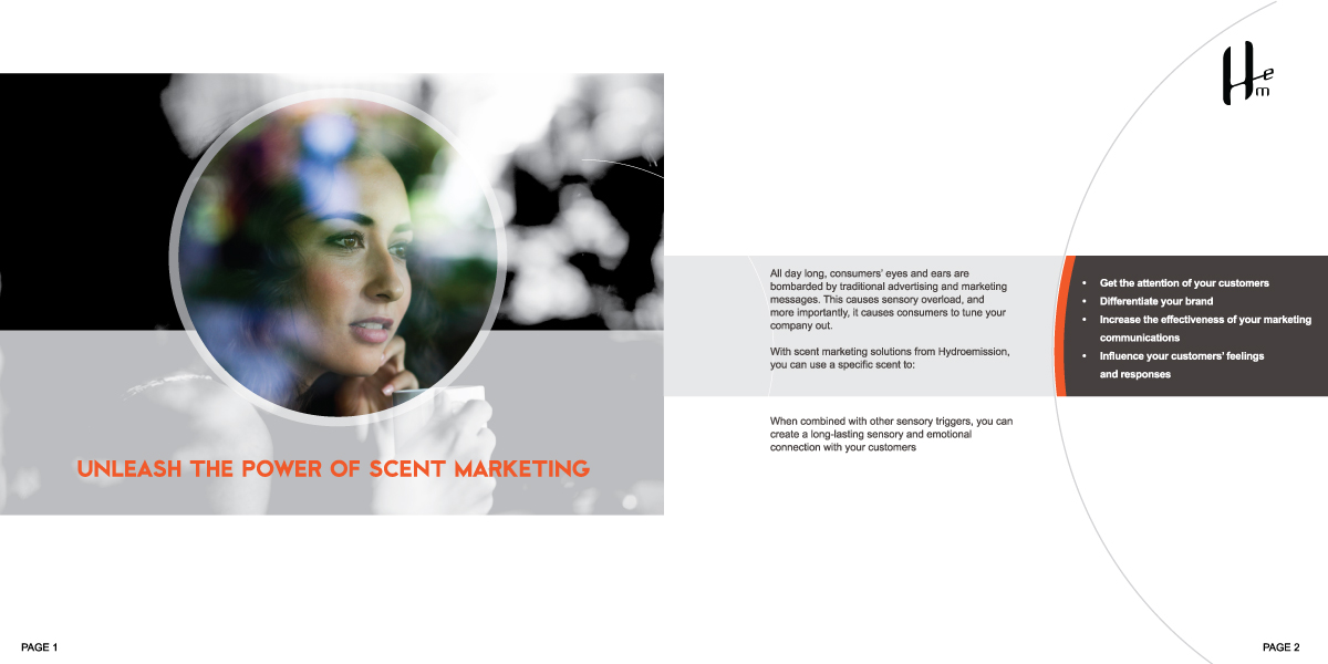 Broschüren-Design von designgreen für Hydroemission Corporation Pte Ltd | Design #1205954