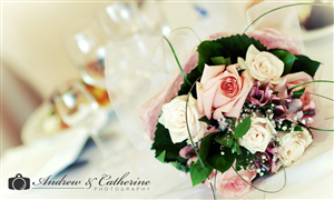 Logo Design by digilink for Andrew & Catherine Photographers | Design: #4356561