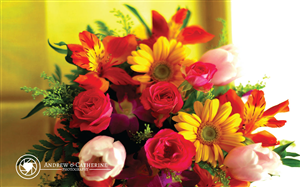 Logo Design by rpunsL for Andrew & Catherine Photographers | Design: #4239444