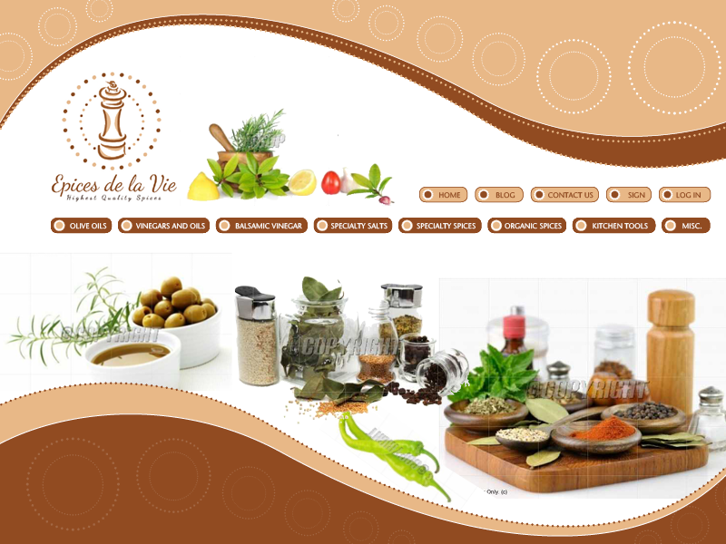 Web Design by catziiz for this project | Design #1213324