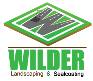 Logo Design by ronel aron