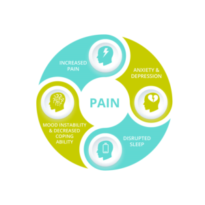 Design Graphique par Tegridy Studio pour ce projet | Design : #11659363