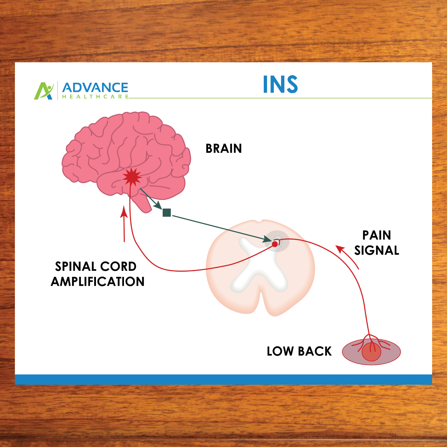 Graphic Design by Annie Creative Service for this project | Design #11717307