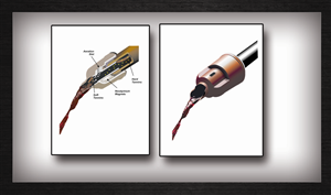 Illustration Design by uk