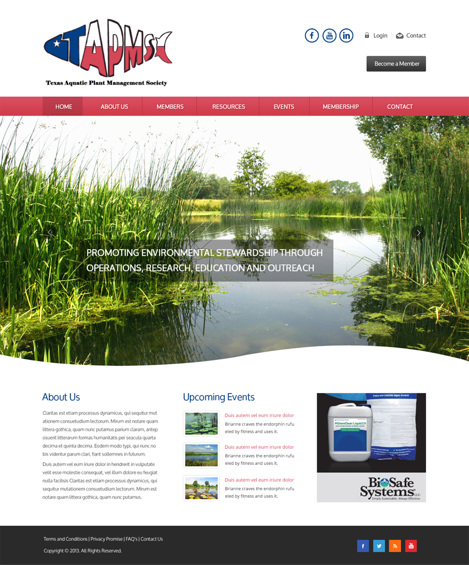 Diseño Web por Infinity Pix para este proyecto | Diseño #4241442