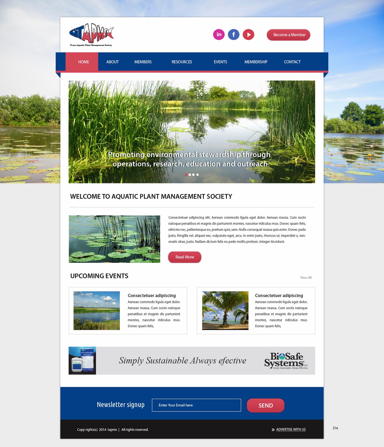 Web Design by pb for this project | Design #4239351