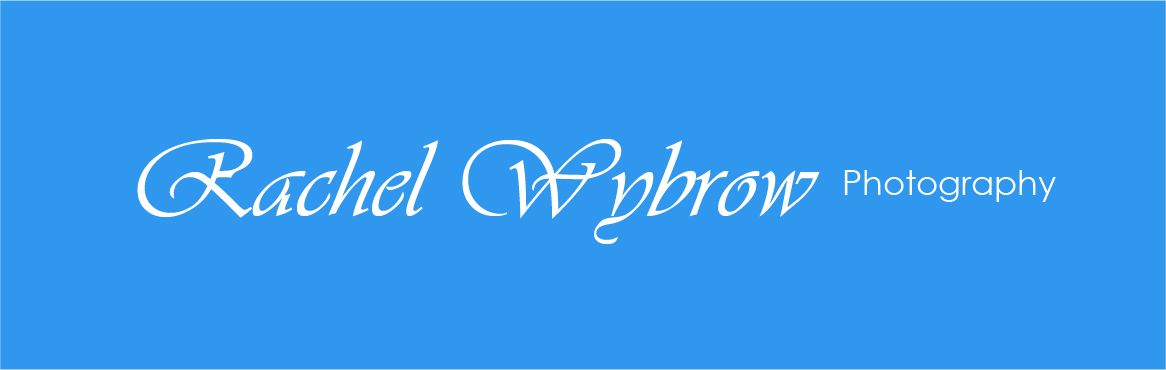 Logo Design by chameera93 for this project | Design #4253386