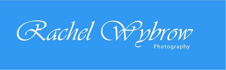 Logo Design by chameera93 for this project | Design #4256677