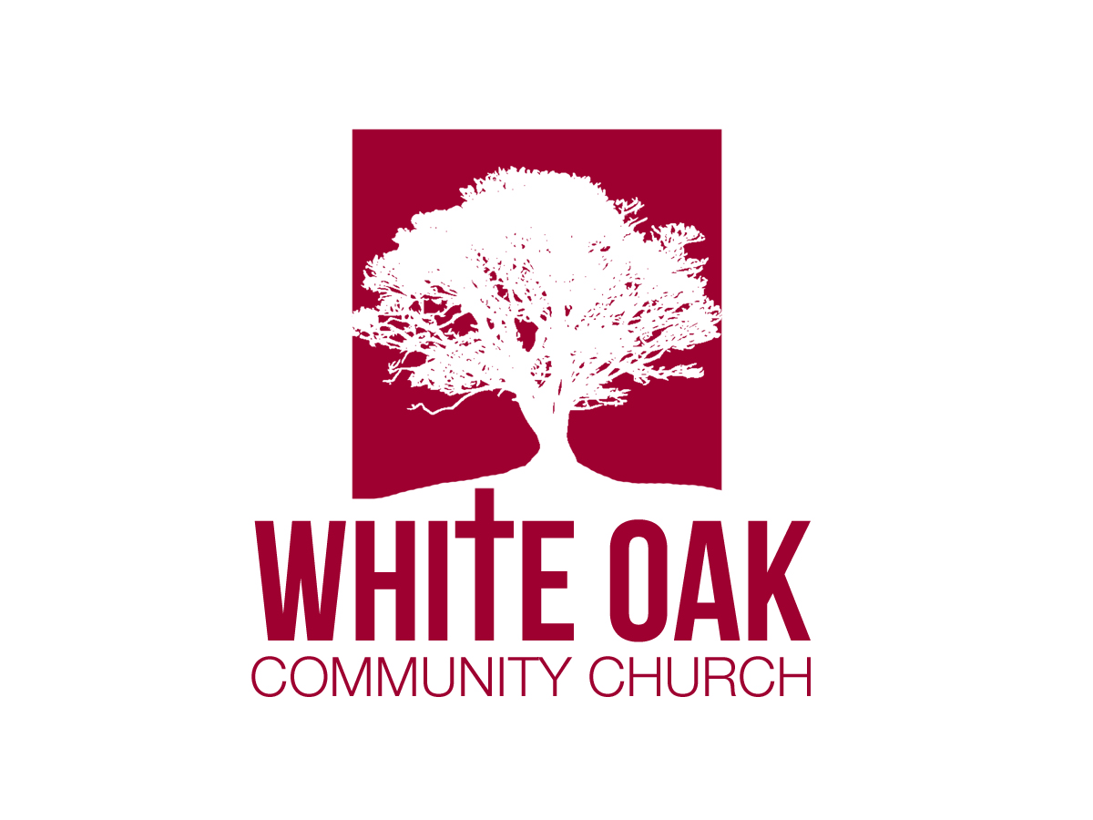 Logo Design by seancfy for this project | Design #172250