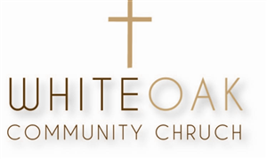Logo Design by duandesigns
