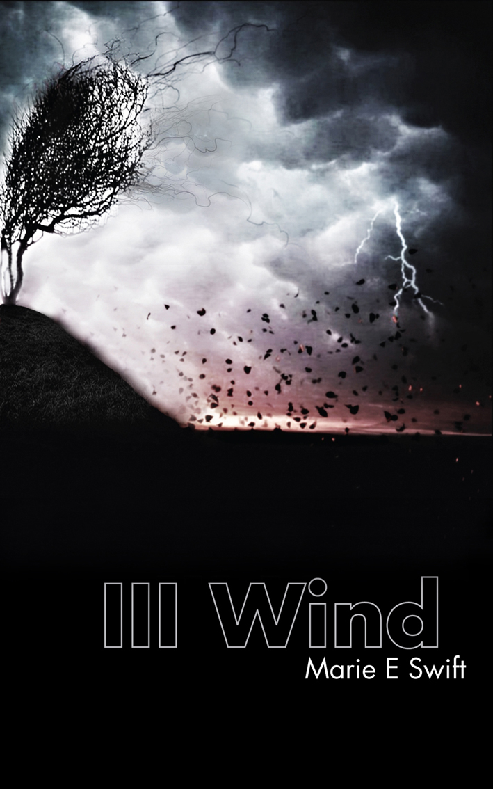 Book Cover Design by Milena for this project | Design #1214818