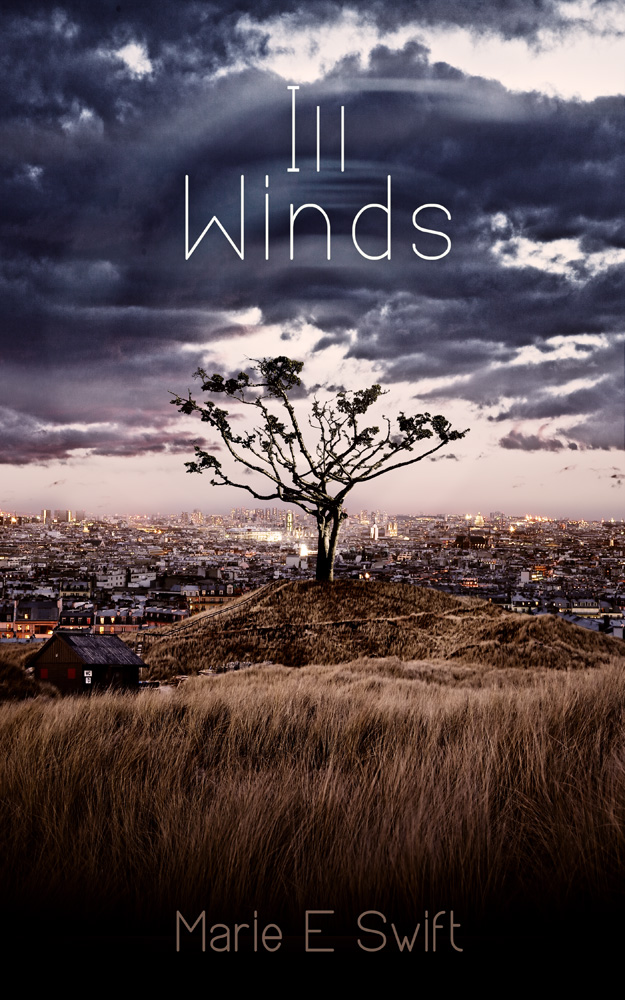 Book Cover Design by curtisANDstrong for this project | Design #1198681