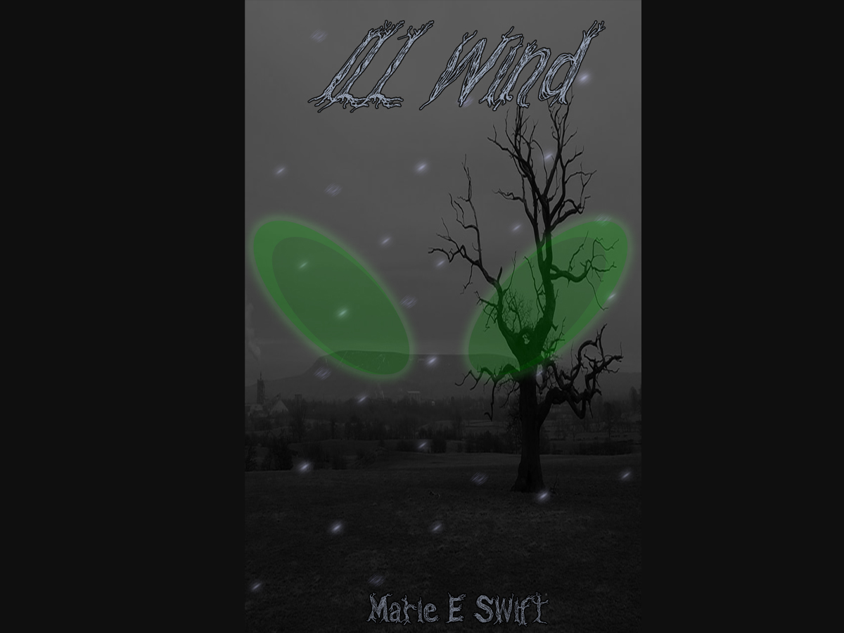 Book Cover Design by Darcie Martin for this project | Design #1200251