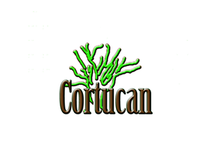 Logo Design by NMCdesignz
