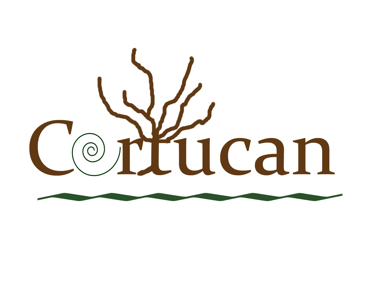 Logo Design by NMCdesignz for this project | Design #1219108