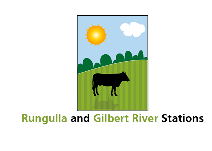 Logo Design by Katala for this project | Design #171399