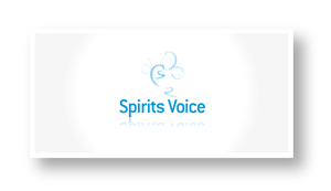 Logo Design by MDS - bonusplusdesign.com