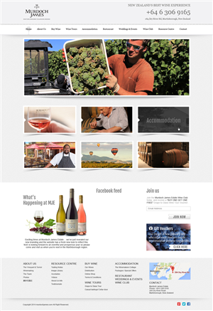 Web Design par Chikki pour Web Genius | Design : #4245695