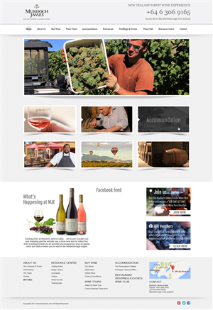 Web Design by Chikki for Web Genius | Design #4245839