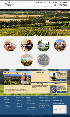 Web Design by Tanvir for Web Genius | Design #4249887