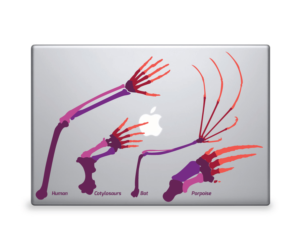 Diseño de Sticker por Sergio Coelho para DesignCrowd LLC | Diseño #4317286