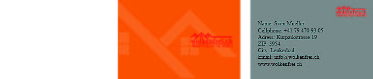 Design de Carte de Visite par Hide me pour TREUINVEST AG | Design #4247441