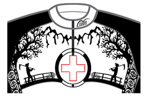 T-Shirt-Design von STcornish für Bike Switzerland | Design: #181044