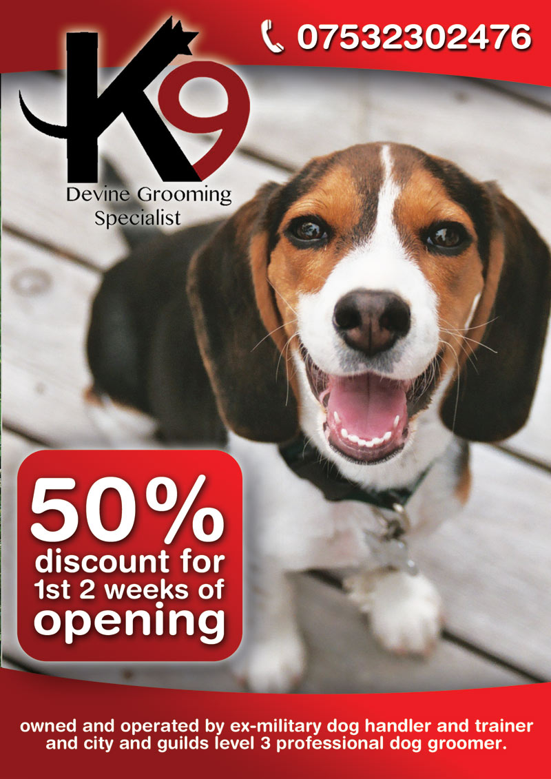 Flyer Design by alessandroevge for this project | Design #4253894