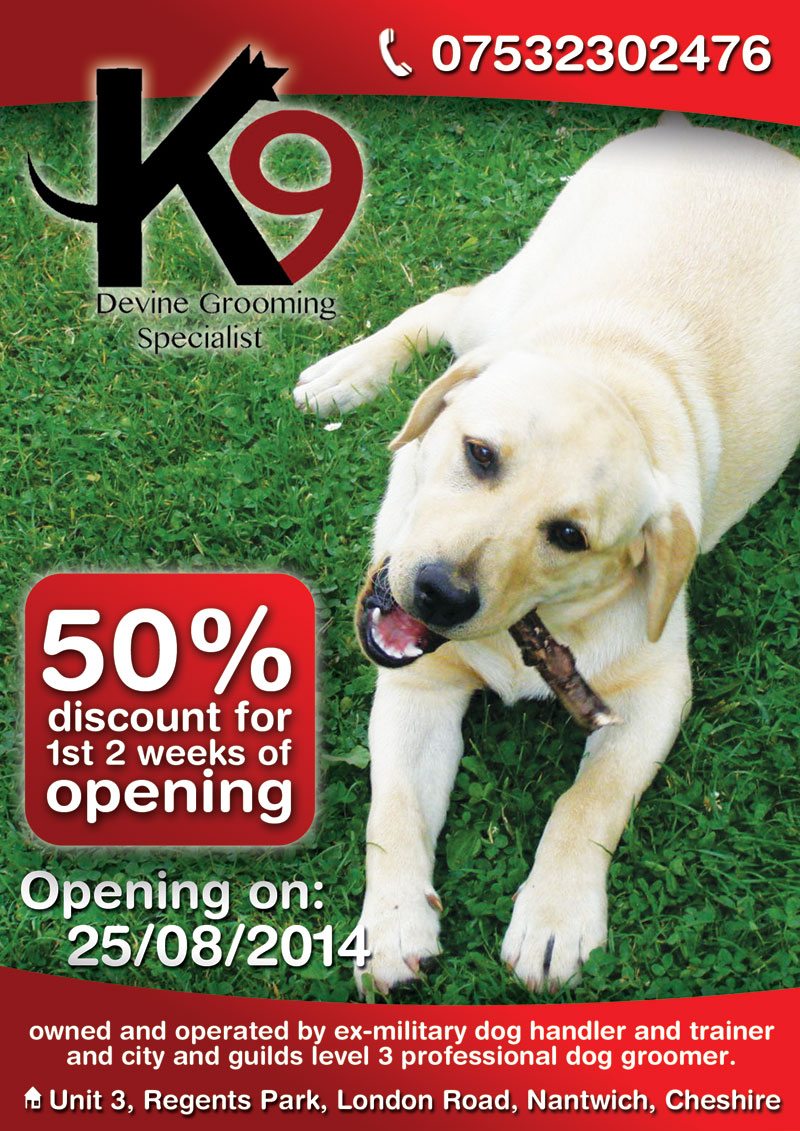 Diseño de Flyer por alessandroevge para este proyecto | Diseño #4254601