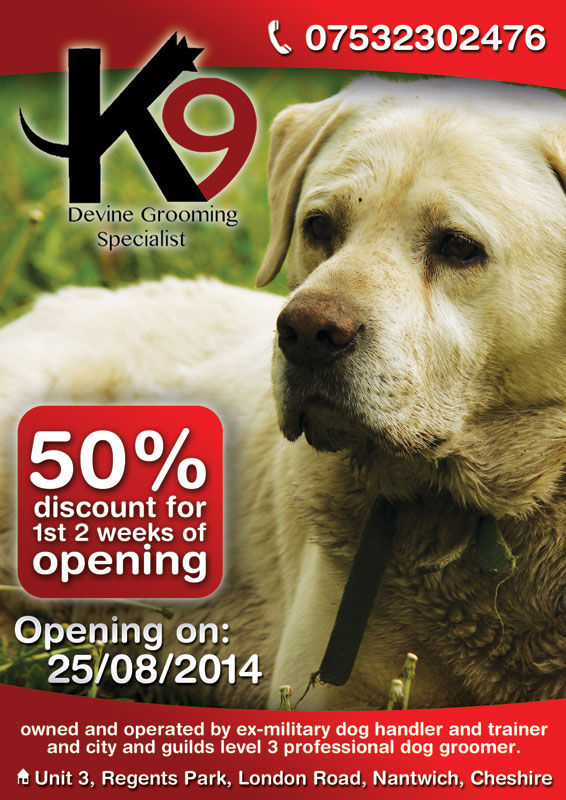 Diseño de Flyer por alessandroevge para este proyecto | Diseño #4254607